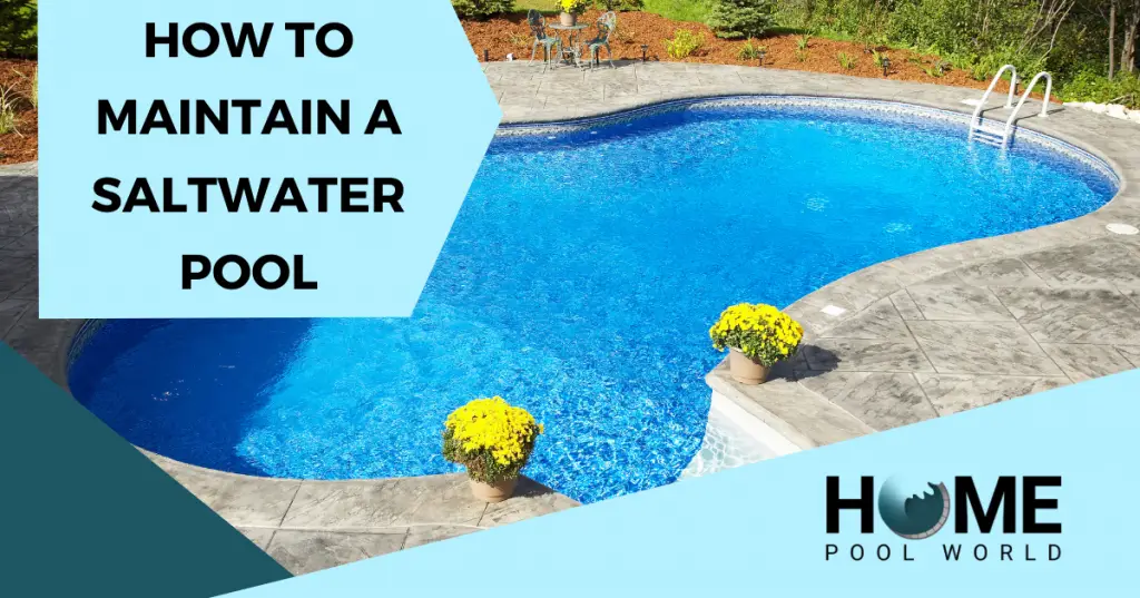 Maintaining a Saltwater Pool All You Need to Know Home Pool World