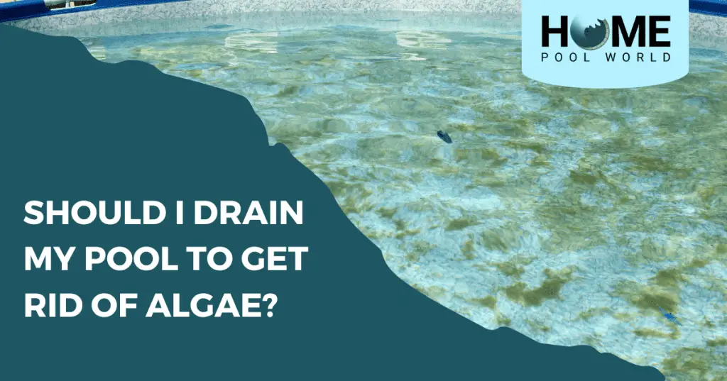 should-i-drain-my-pool-to-get-rid-of-algae-home-pool-world